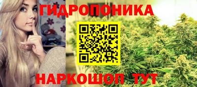 крисы Комсомольск-на-Амуре