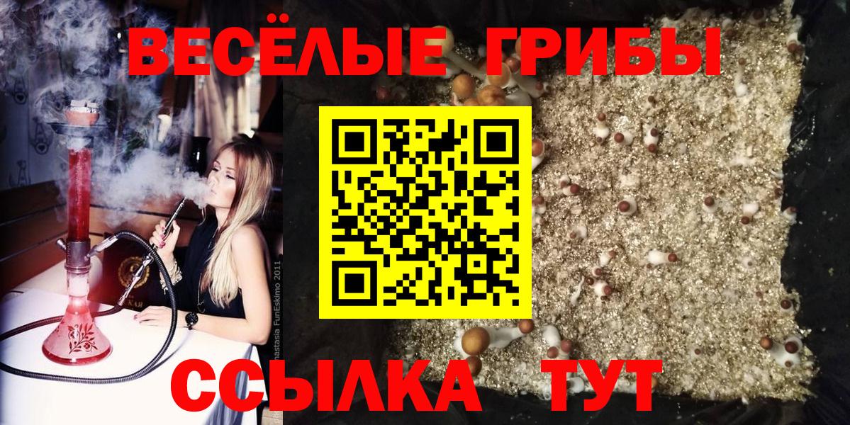 Галлюциногенные грибы Psilocybine cubensis  Вход с VPN  Кандалакша 