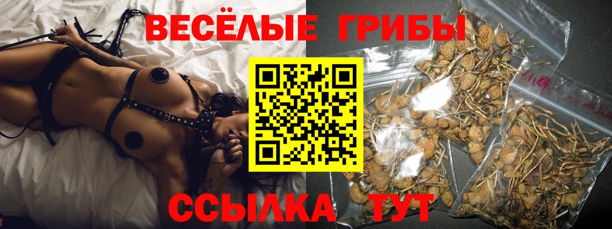 Галлюциногенные грибы мухоморы Кандалакша